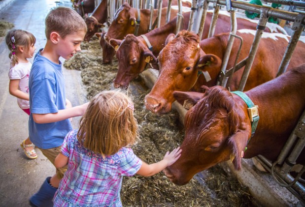 Kinder im Stahl