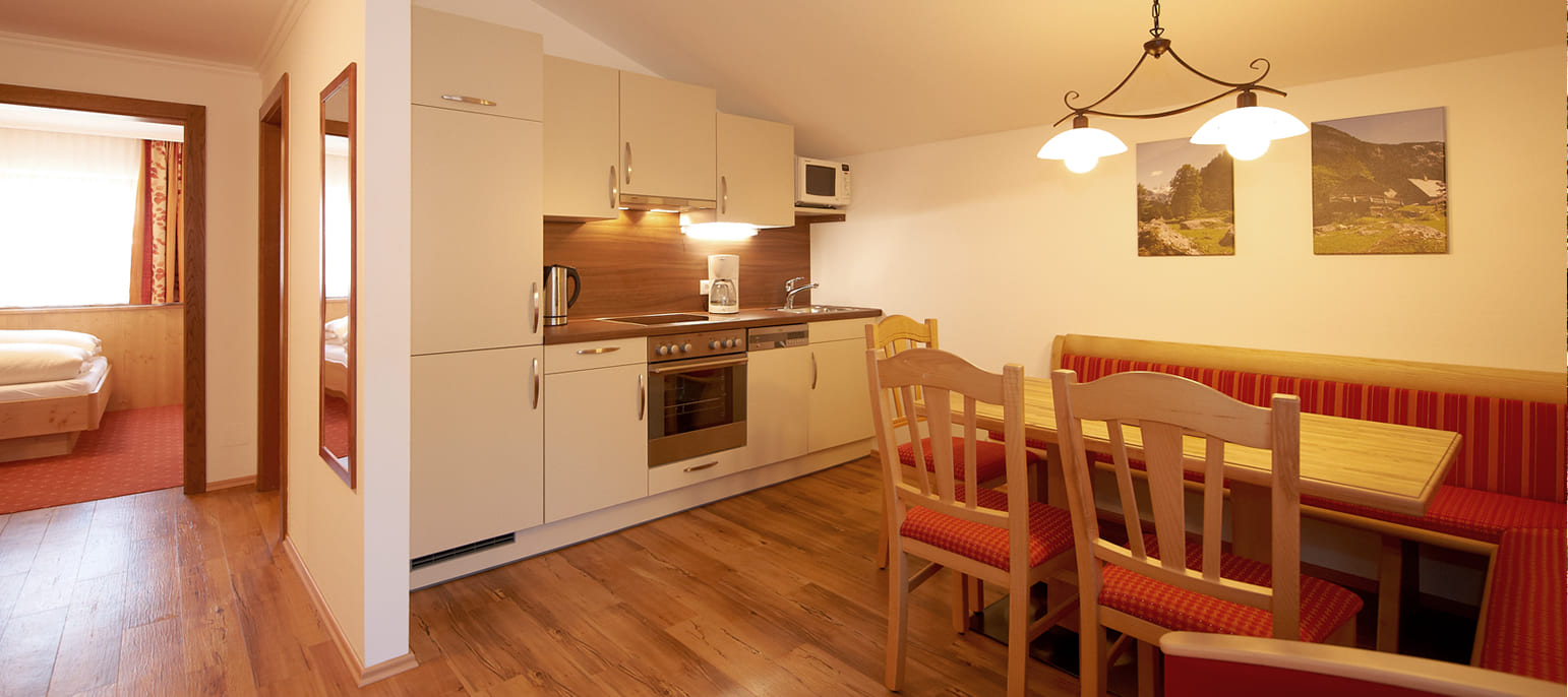 Ferienwohnung in Flachau, Ski amadé