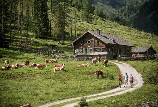 Wandern zu den Marbachalmen © Flachau Tourismus 