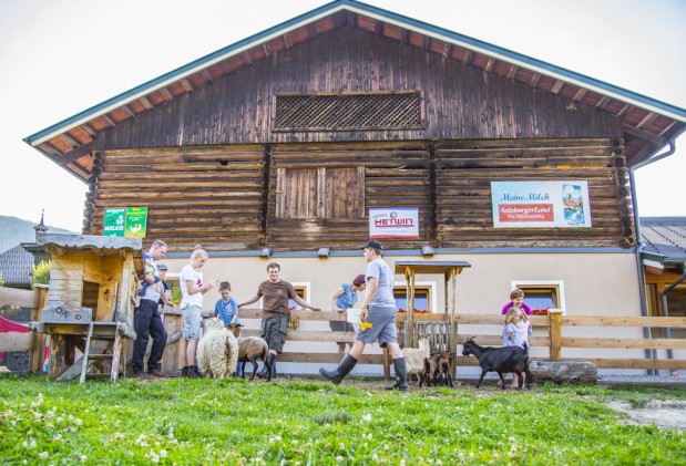 Tiere und Stall am Vorderklinglhub